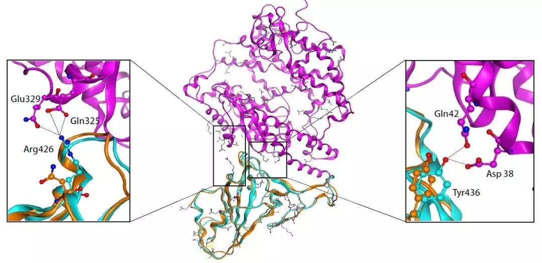 �����Ŷ��ذ�����������ҩ������������̹����������人�¹ڷ���